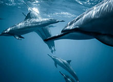 胡金秋：多年付出终有回报 希望多打10年&和队友继续创造更多荣誉